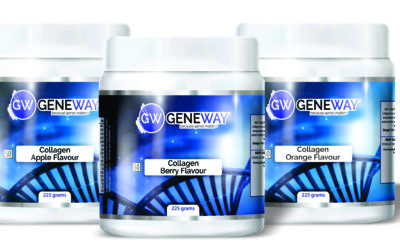 Collagen is not just for your skin!