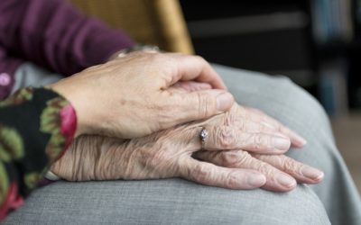 GENEWAY: Pay a DNA Testing Price for Priceless Insight