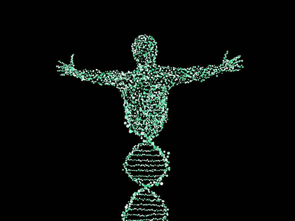 GENEWAY-Understanding-Pharmacogenetics-and-the-Benefits-of-DNA-Tests-for-Medication-DNA-test-for-drugs-Genetic-testing Understanding Pharmacogenetics and the Benefits of DNA Tests for Medication