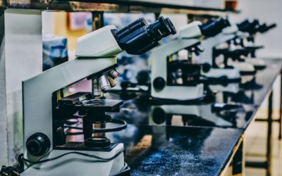 DNA Testing Prices – What Do I Get In Exchange for Paying?