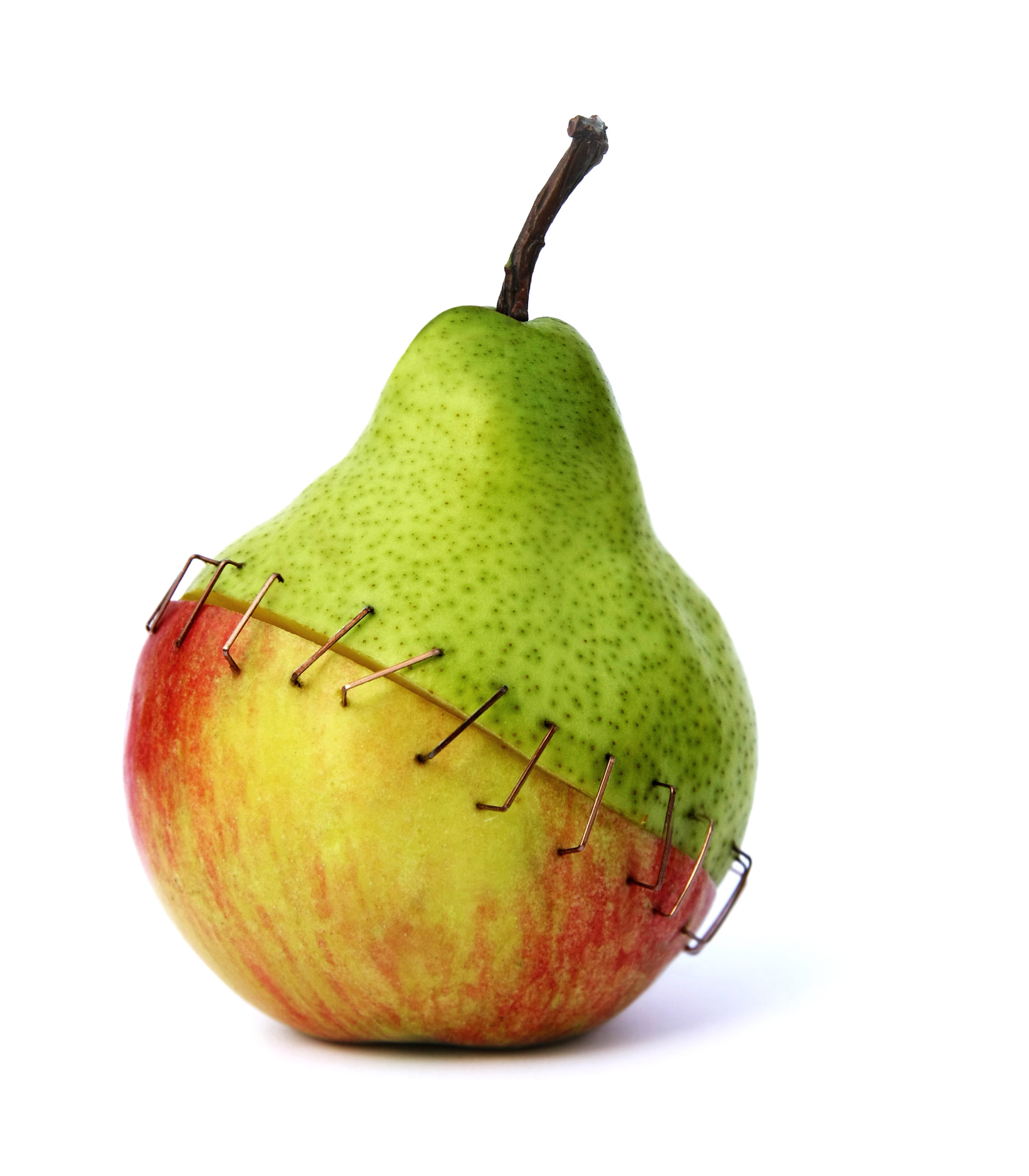 Genetic Engineering