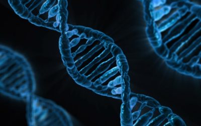 What Is A Gene?