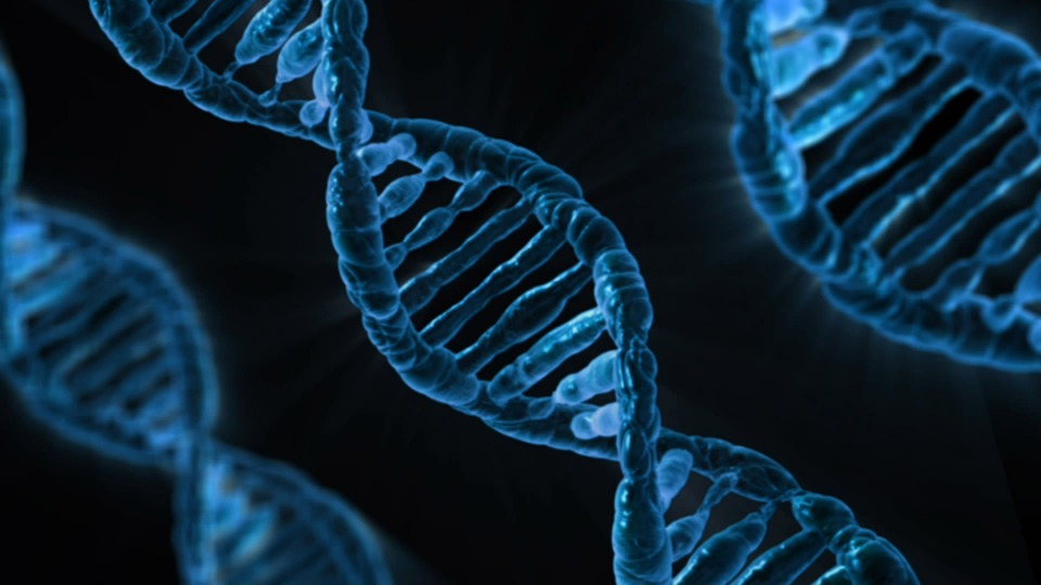 What Is A Gene?