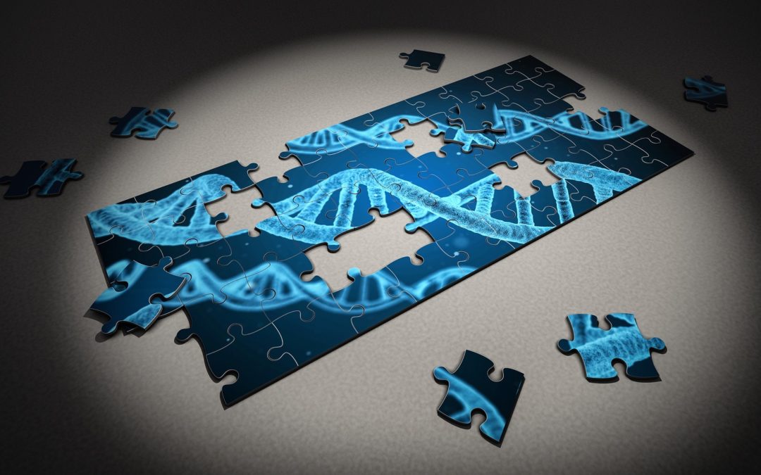How Does SNP Genotyping Work?
