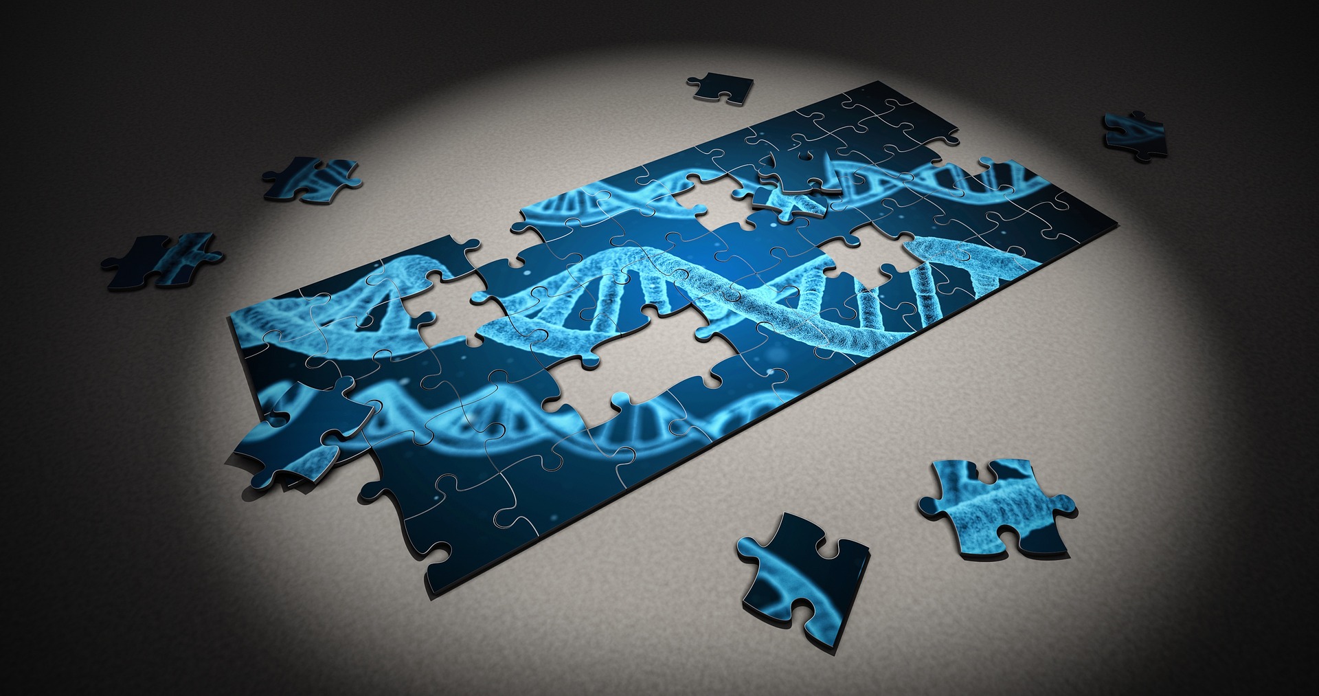 SNP-Genotyping How Does SNP Genotyping Work?