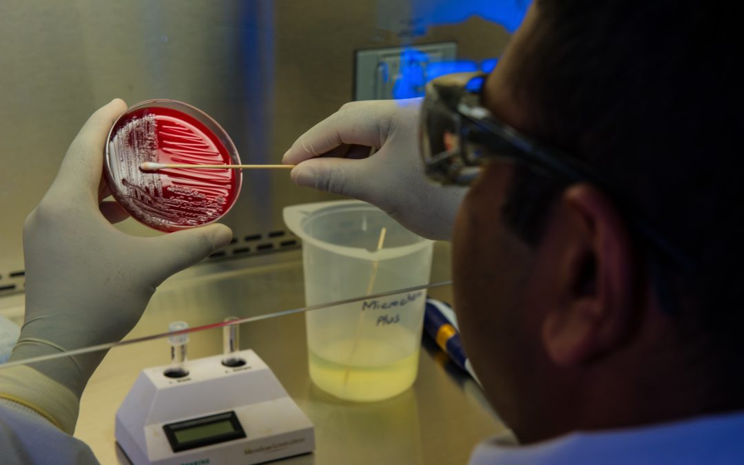 DNA Test for Coronavirus