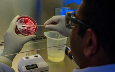 DNA Test for Coronavirus