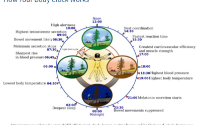 The CLOCK gene