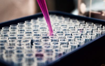 Gene Testing Pretoria: On Your Doorstep
