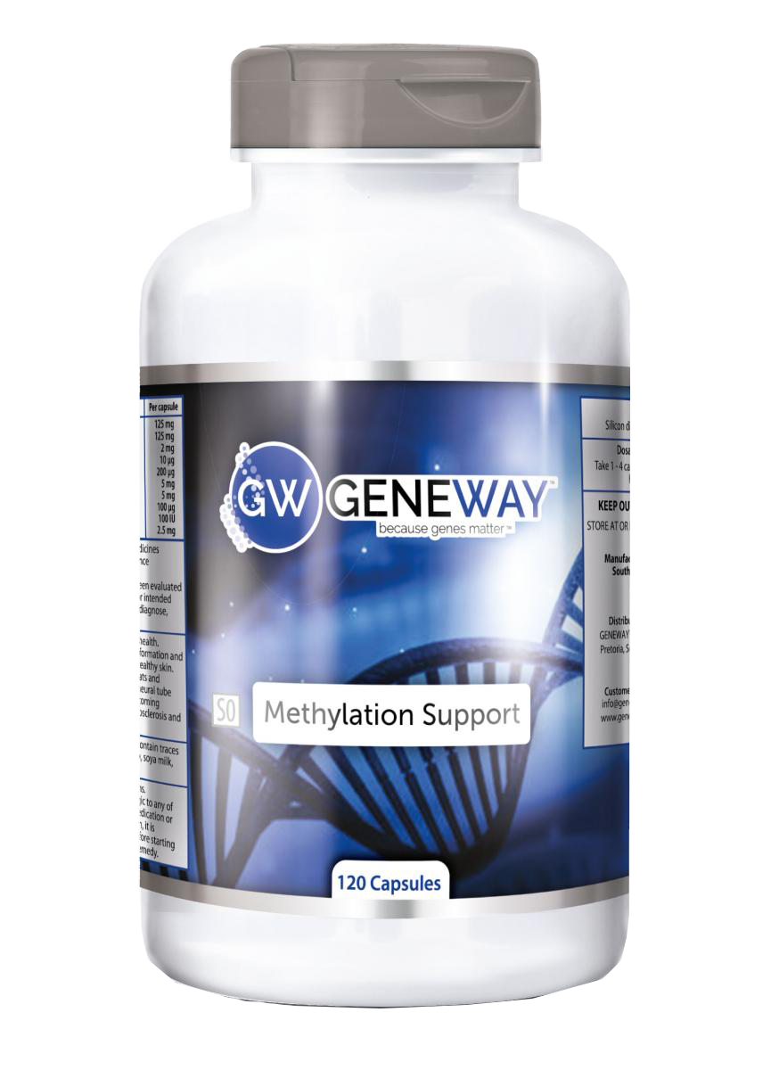 GENEWAY™ METHYLATION SUPPORT