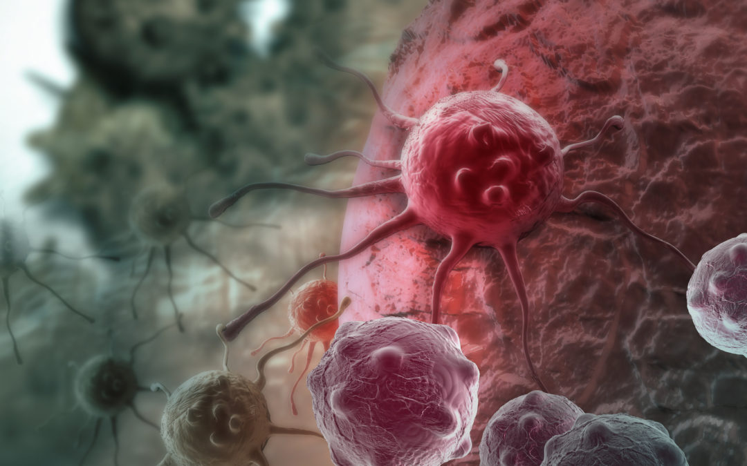 DNA Testing for the Cancer Gene