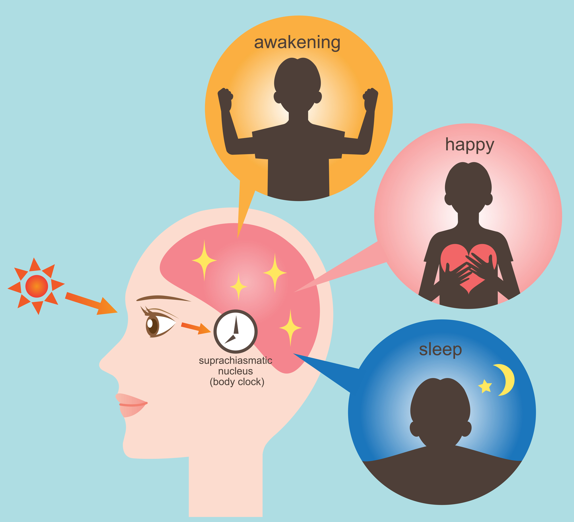 Circadian Rhythms and Sleep Disorders