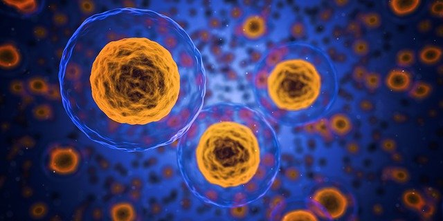 Oxidative Stress Symptoms and its Causes