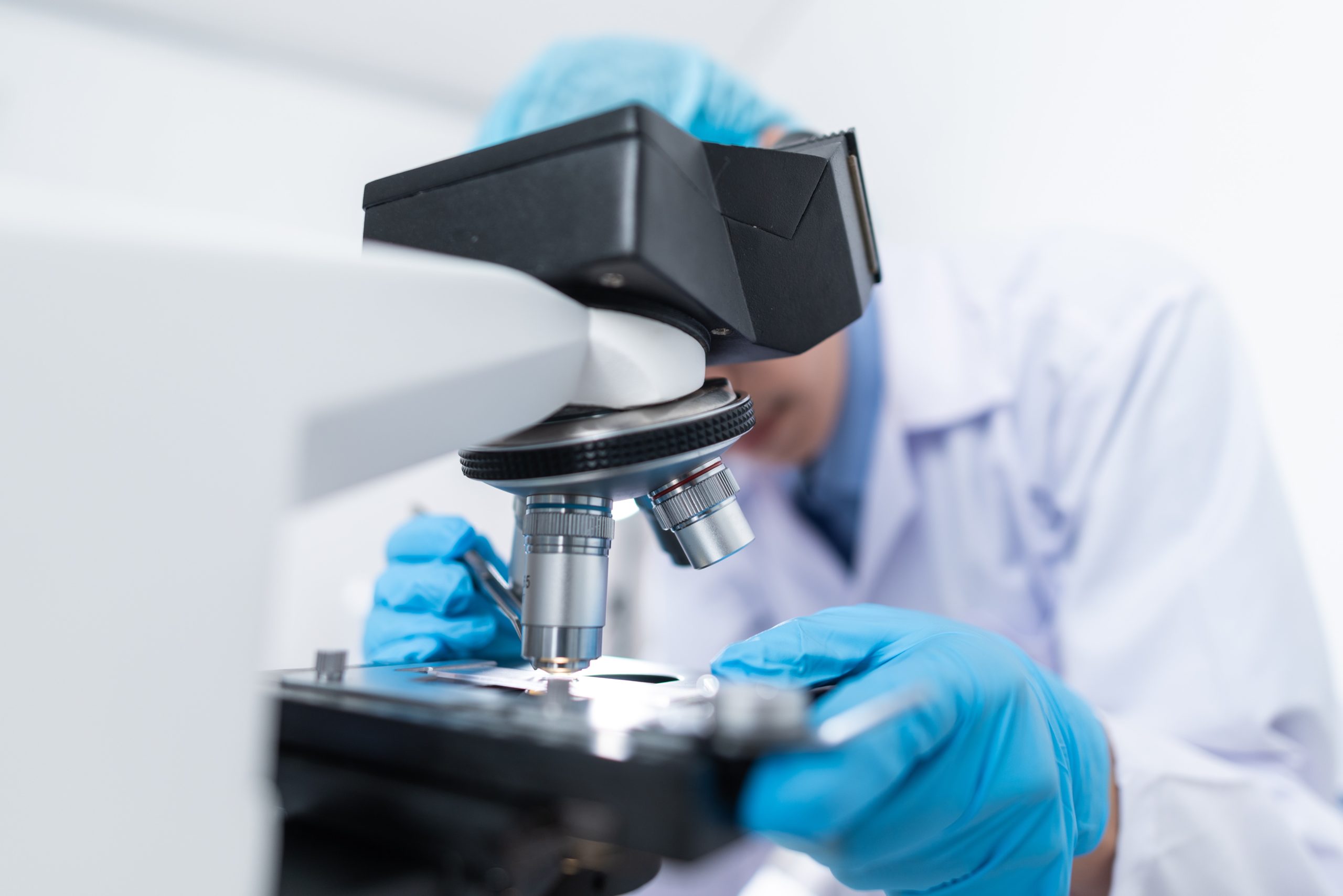 The Lipid Metabolism: A Brief Explanation