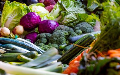 Certain mutations in specific genes can lead to increased risk for Breast Cancer