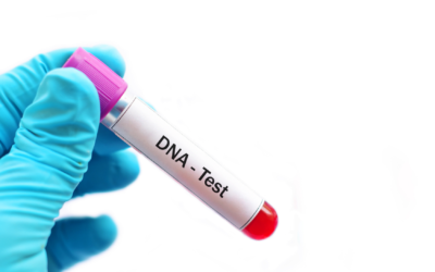 Pretoria DNA Tests Increasing in Popularity