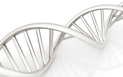 Home DNA Test Kit in South Africa: How It Works and the Benefits