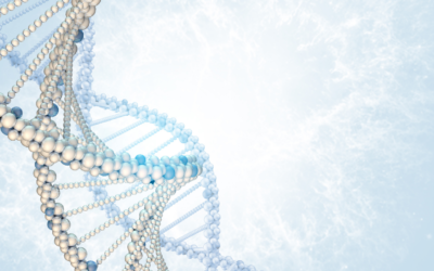 What a DNA Test Kit Can Offer You