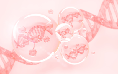 The Skin Cell Renewal Process: How to Help Your Skin