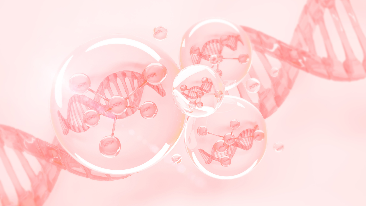 The Skin Cell Renewal Process